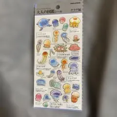 UCO様 リクエスト 2点 まとめ商品