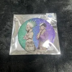 ぐ*ち様 Dr.stone 歩み ver 缶バッジ　石神千空&あさぎりゲン
