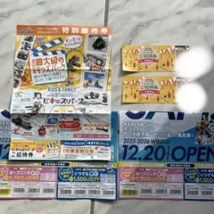 ころり様専用　スキジャム勝山　小学生リフト券　割引券　セット