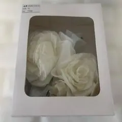 Item thumbnail for item b8174021-1c37-4e30-a65b-49a6ffe0c59e