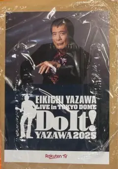 楽天チラシ　矢沢永吉　I believe ③