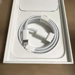 iPhone 充電器 純正 タイプCライトニングケーブル Apple正規品