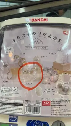 うちの子のけだまだま ノーマル 正規品