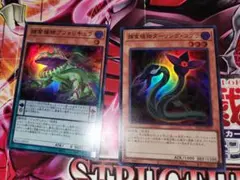 2026年最新】合計枚数/個数：2枚 遊戯王OCG デュエルモンスターズの