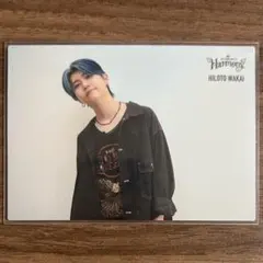 ミセス 若井滉斗 Harmony フォトカード 018