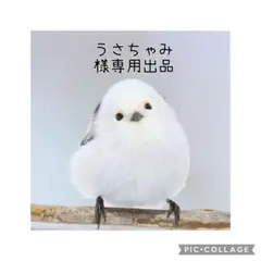 うさちゃみ様専用出品　カーネーション