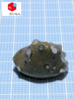 2026年最新】舎利母石の人気アイテム - メルカリ