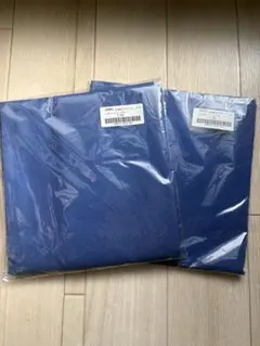 check&stripe 海のブロード　スウェディッシュブルー