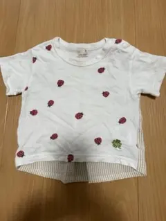 Item thumbnail for item e0b5a65c-0e07-4695-98f4-438615e589fe