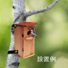 Item thumbnail for item 50347ca5-c6ec-496e-8d27-82a52f0d63c1