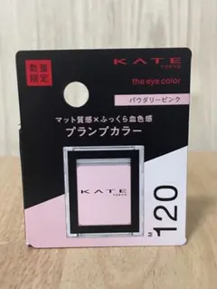 【新品未使用】KATE 数量限定 ザ アイカラー