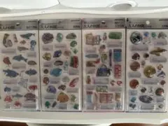 正規品　大人の図鑑　3d 4種セット