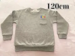 ピクミン トレーナー 120