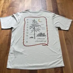 PATAGONIA キャプリーン クール デイリー グラフィック シャツ