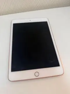 iPad mini 第5世代(ゴールド) 64GB バッテリー100%