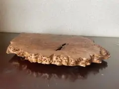 Item thumbnail for item 8ee73362-d098-472e-a8d5-6d2a8690b638