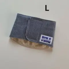 Item thumbnail for item 45102137-8830-4b55-8f77-0fa6eb8607b1