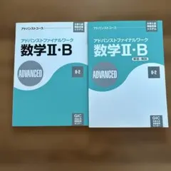 Item thumbnail for item 70221708-0956-4447-a60d-029a87da7764