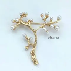 わくわく様 リクエスト 3点 まとめ商品