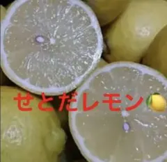 瀬戸田レモン　訳ありのサムネイル
