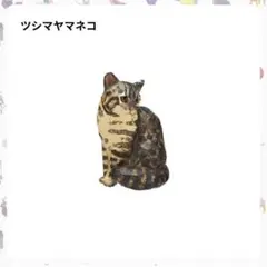 Item thumbnail for item 8da5cdfc-d024-4566-8f53-8f3c370d8809