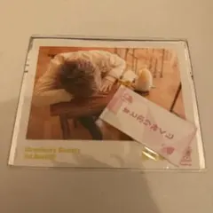 すとぷり るぅと チェキ風ブロマイド おみくじ付き