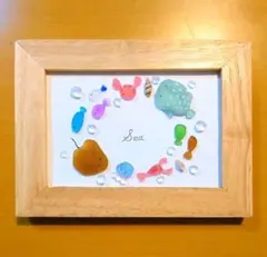 シーグラスアート　海　水族館　仲間たち　レアシーグラス