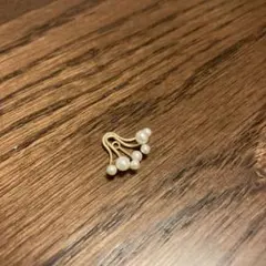 2025年最新】アガットピアスチャームの人気アイテム - メルカリ