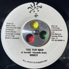 4201 レゲエ レコード 7インチ