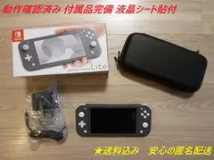 2026年最新】nintendo switch lite グレーの人気アイテム - メルカリ