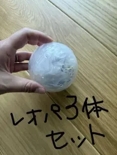いきもの大図鑑アドバンス レオパードゲッコー バンディット レオパセット