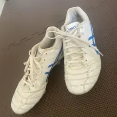 アシックス　ＤＳ　LIGHT スパイク22.5㎝