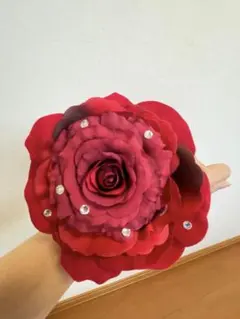 Item thumbnail for item 862696dc-6781-410a-ac4e-867bd2764b0f