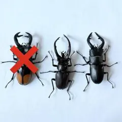 Item thumbnail for item accdaf67-d56d-4684-a8ce-aaf82c244969