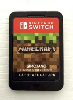 Minecraft Nintendo Switch版