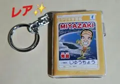 元宮崎県知事東国原英夫直筆サインボール 東国原 英夫前宮崎県知事直筆サインボール