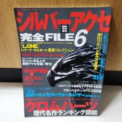 シルバーアクセ完全FILE 6 - メルカリ