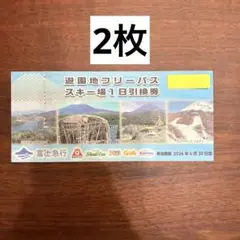 2026年最新】富士急ハイランドフリーパスの人気アイテム - メルカリ
