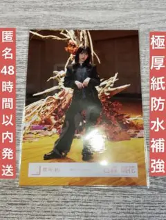 Item thumbnail for item 15594fed-d56e-4570-ba57-15ae0e54f659