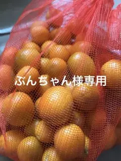 ぶんちゃん様専用！