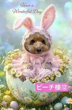 ピーチ様⑫専用ページ