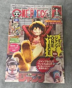 ワンピースマガジン 20号 プロモ付き モンキー・D・ルフィONEPIECE新品
