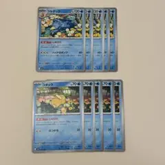 ポケモンカード　コダック しめりけ 進化ライン10枚セット
