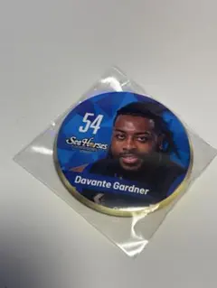 シーホース三河 Davante Gardner ファングッズ 54