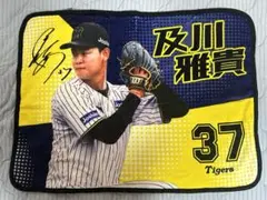阪神タイガース 及川雅貴 シークレットブランケット