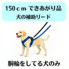 Item thumbnail for item 4b6616a5-6e05-4965-bf9e-b2a4ba62552a