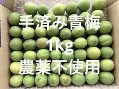 新鮮 青梅 １kg 農薬不使用のサムネイル