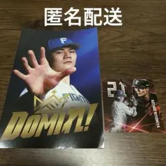 【清宮幸太郎】21 北海道日本ハムファイターズ　ステッカー　DOMIれ！