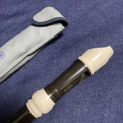 Item thumbnail for item 0ff43d3f-8dcd-4336-80ec-296088d9db98