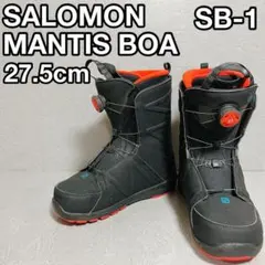 2025年最新】salomon mantisの人気アイテム - メルカリ